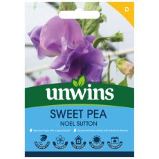 5051618038539 1 Sweet Pea Noel Sutton Seeds.jpg